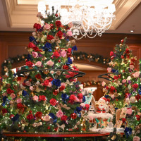 クリスマス費用のロビー