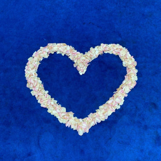 ウェルカムパーティ中に見ることができるそうです