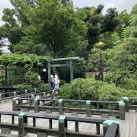 参進の儀で通る桟橋