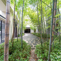 竹林の外観