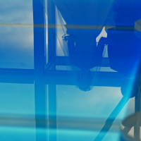 チャペルの地面に反射する新郎新婦