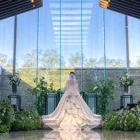 緑と空が綺麗です