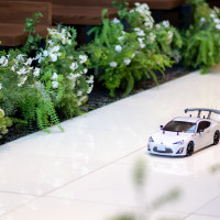 リングカーの演出しました