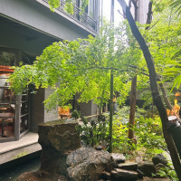 中庭です。