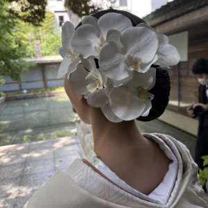 新婦料亭河文での親族婚、ヘアースタイル
胡蝶蘭を盛り盛りに|733003さんの名古屋 河文の写真(2446808)