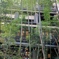 中庭