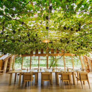 正面には自家菜園の畑があり、開放的な雰囲気です