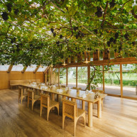 中にもぶどうが生い茂っていました