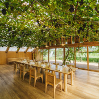 中にもぶどうが生い茂っていました