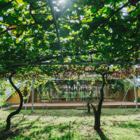 有名建築家の方が設計したレストラン