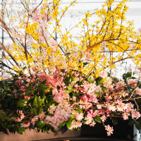 ロビーのお花