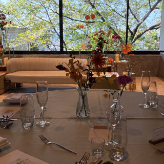 木漏れ日がとてもよかったです