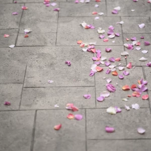 フラワーシャワー|733514さんの覚王山ル・アンジェ教会の写真(2357760)