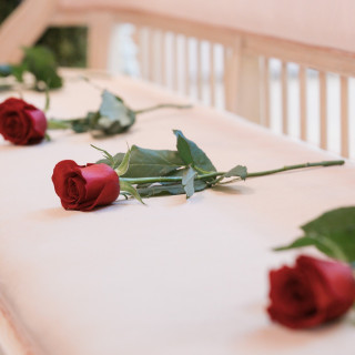 人前式の参列者が持ってきてくれるバラ