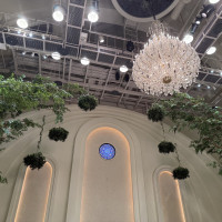 緑が沢山あって天井が高くて素敵です！