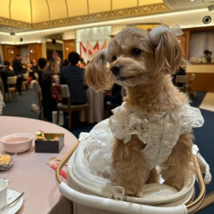 披露宴会場|733757さんのアーフェリーク白金/テイクアンドギヴ・ニーズウェディングの写真(2348806)