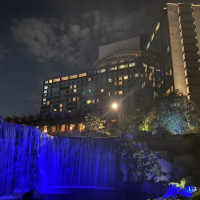 披露宴会場外から見える庭です