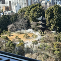 庭園の雲海