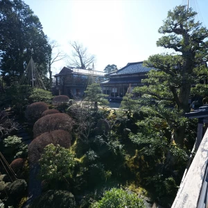 お庭|734083さんの辻家庭園 ～前田家家老旧横山家迎賓館～（金沢市指定文化財）の写真(2349264)