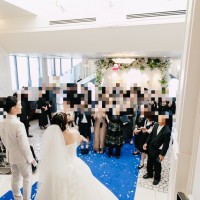 ぬいぐるみトス