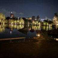 夜の式だったので、夜景が心配でしたが、綺麗に見えました。