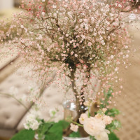 かすみ草で桜の木を作っていただきました