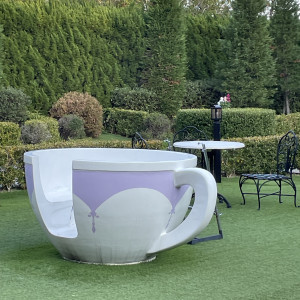 庭に、コーヒーカップの置物がありすごく良かったと思います。|734454さんのガーデンテラス福岡ホテル&リゾートの写真(2375929)