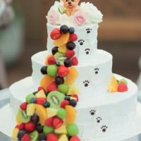 飼い犬がのってます