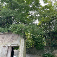 外観です。