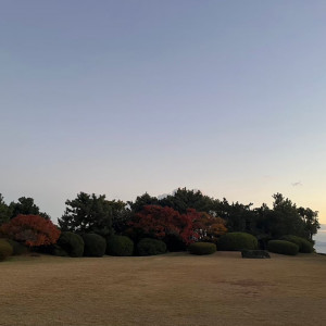 庭の景色です。|734885さんのジェームス邸の写真(2404290)