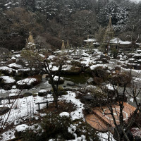 雪の庭園