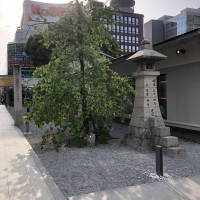街中なのに緑があり清潔感もあって良かったです。