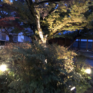 お庭の樹木がライトアップされ雰囲気が良かったです。|735266さんの秋子想／TOKIKOSOの写真(2410879)