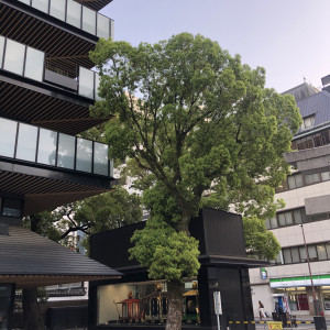 緑がたくさんあってとても良かったです。|735266さんのTHE KEGO CLUB by HAPPO-ENの写真(2427821)