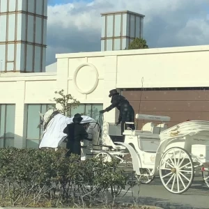 披露宴会場に馬車に乗って登場もできます。|735886さんのノートルダムマリノア/FIVESTAR WEDDINGの写真(2361005)