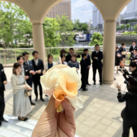 フラワーシャワー