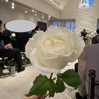 チャペルでダーズンローズ