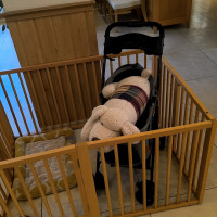 ベビーカーの貸し出し