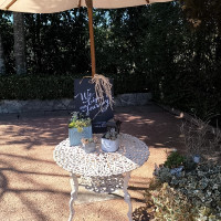 敷地内にあるパラソル