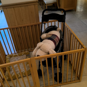 ベビーカーの貸し出し|736517さんのVILLA de ESPOIR  ～エスポワール～の写真(2568826)