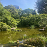 広い庭です