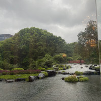 庭が綺麗