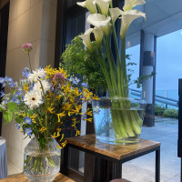 高砂の花です