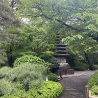 緑がいっぱいです