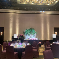 ライトアップが綺麗です
