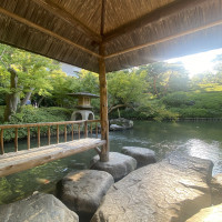 素敵な庭です