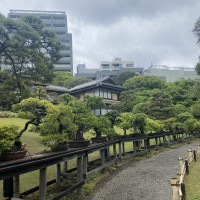 散歩できます
