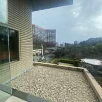 庭も見えました