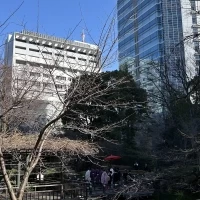 池の上の橋を歩いてきてくれました