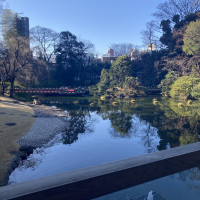 参進する日本庭園